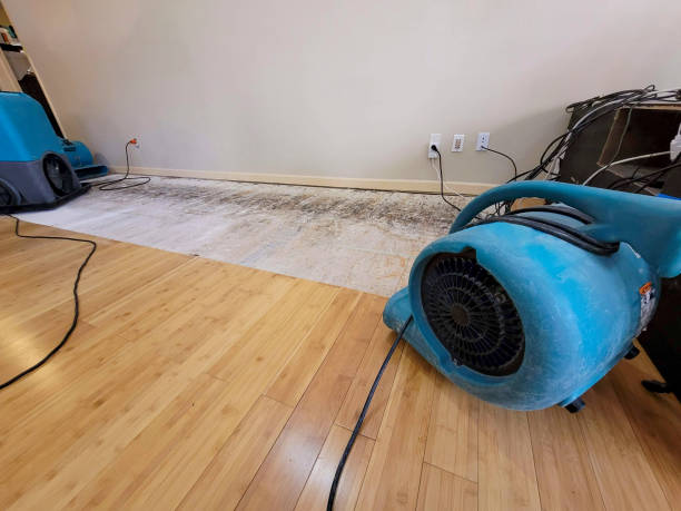 Professional Flood Damage Cleanup technician working in Gardendale, TX